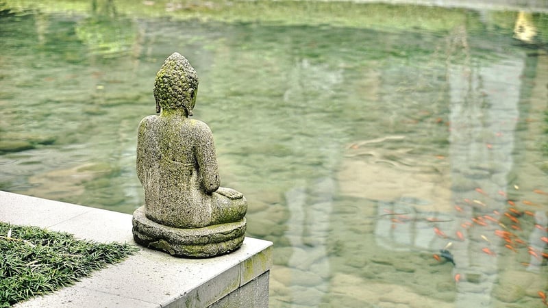 Mindful Meditation